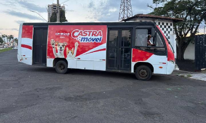 Ciminas promove mutirão com 400 castrações gratuitas em Araxá com apoio da Prefeitura