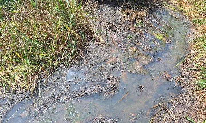 Polícia Civil indicia Copasa por crimes ambientais em Araxá