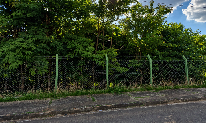 Projeto de requalificação de áreas verdes já soma mais de 5.600 mudas plantadas em Araxá