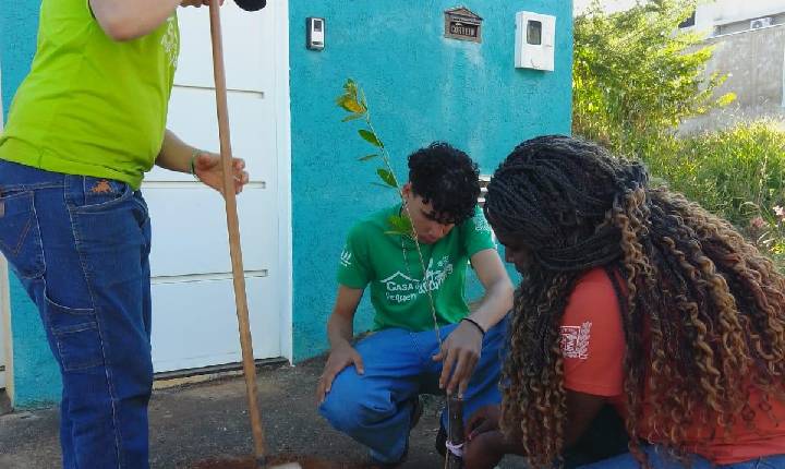 Projeto “Uma Árvore na Minha Calçada” incentiva moradores a deixarem Araxá mais verde e sustentável