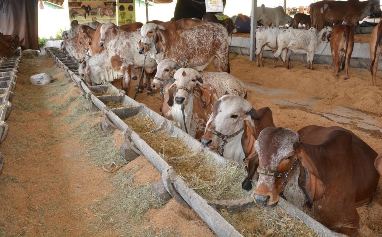 Com apoio da Prefeitura de Araxá, FENARAP 2025 promete movimentar o agronegócio regional durante a 45ª ExpoAraxá