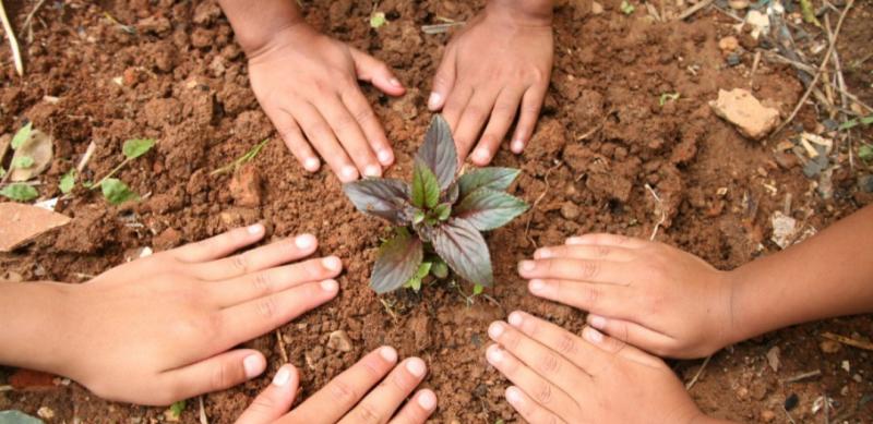 Projeto “Produzindo e Aprendendo” leva educação ambiental e alimentação saudável às escolas municipais