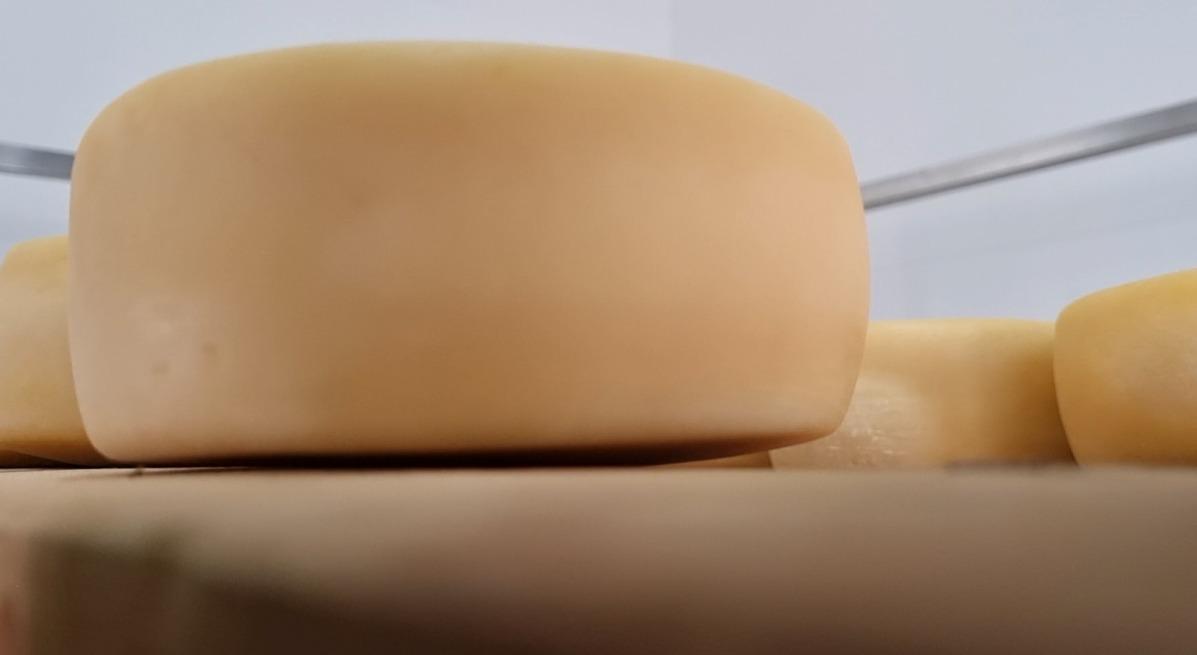 Araxá recebe fórum sobre Queijo Minas Artesanal, patrimônio cultural brasileiro e da humanidade