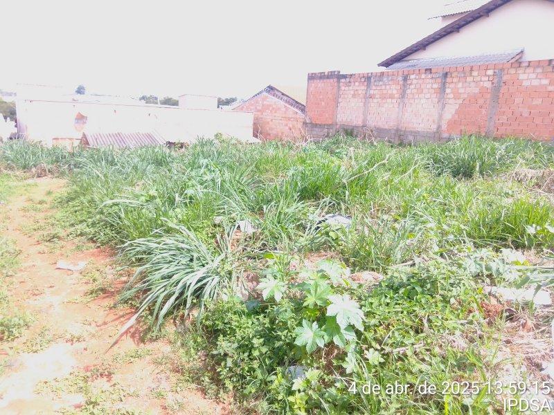 IPDSA intensifica fiscalização em terrenos baldios para prevenir incêndios