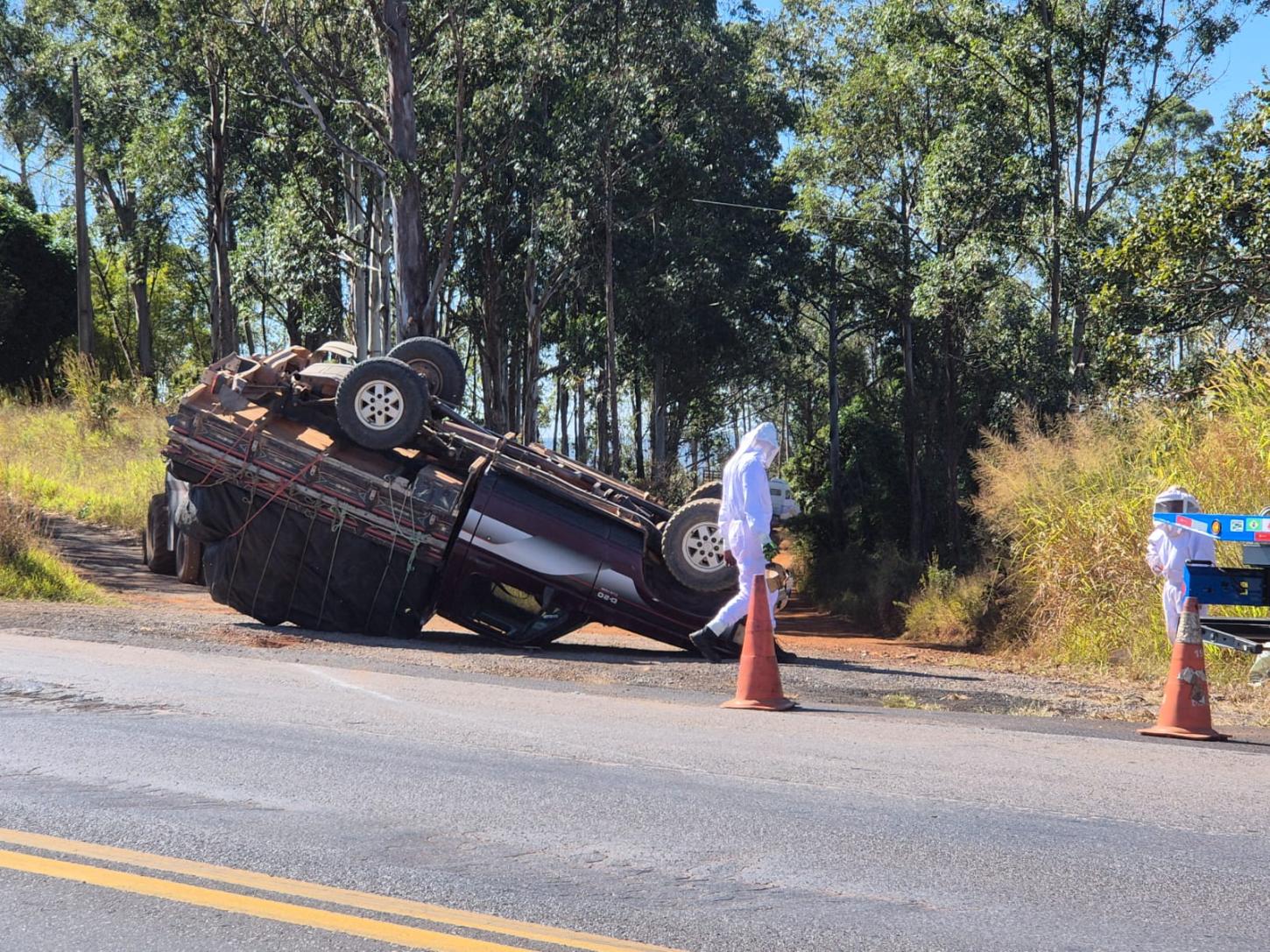 Capotamento de caminhonete com abelhas mobiliza bombeiros na BR-262