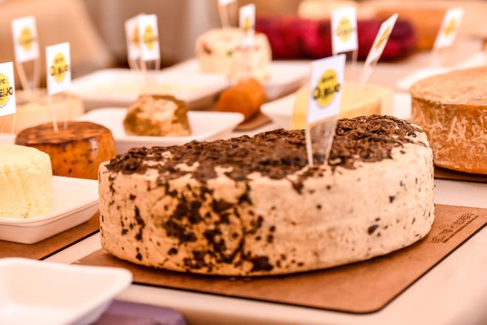 Concurso da ExpoQueijo Brasil começa com expectativa entre produtores e atenção internacional