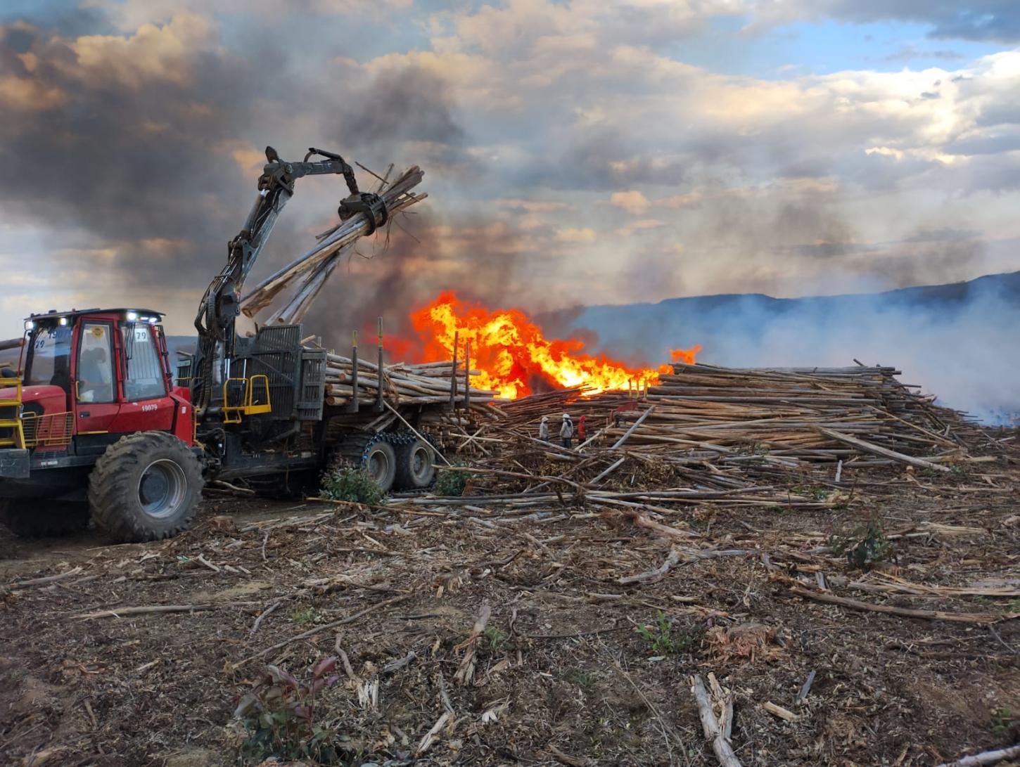Bombeiros controlam incêndio que atingiu depósito de eucalipto na MGC-428