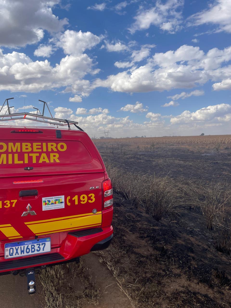 Bombeiros controlam incêndio que queimou 3 mil m² de vegetação às margens da BR-354