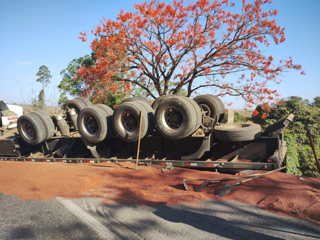 Carreta tomba e espalha carga de sorgo na MGC-452
