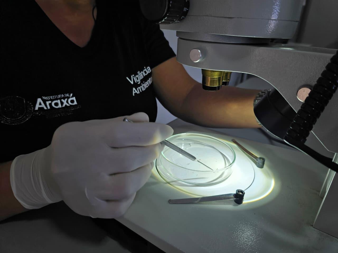 LIRAa aponta baixa infestação 0,3% em Araxá; Vigilância reforça cuidados antes das chuvas