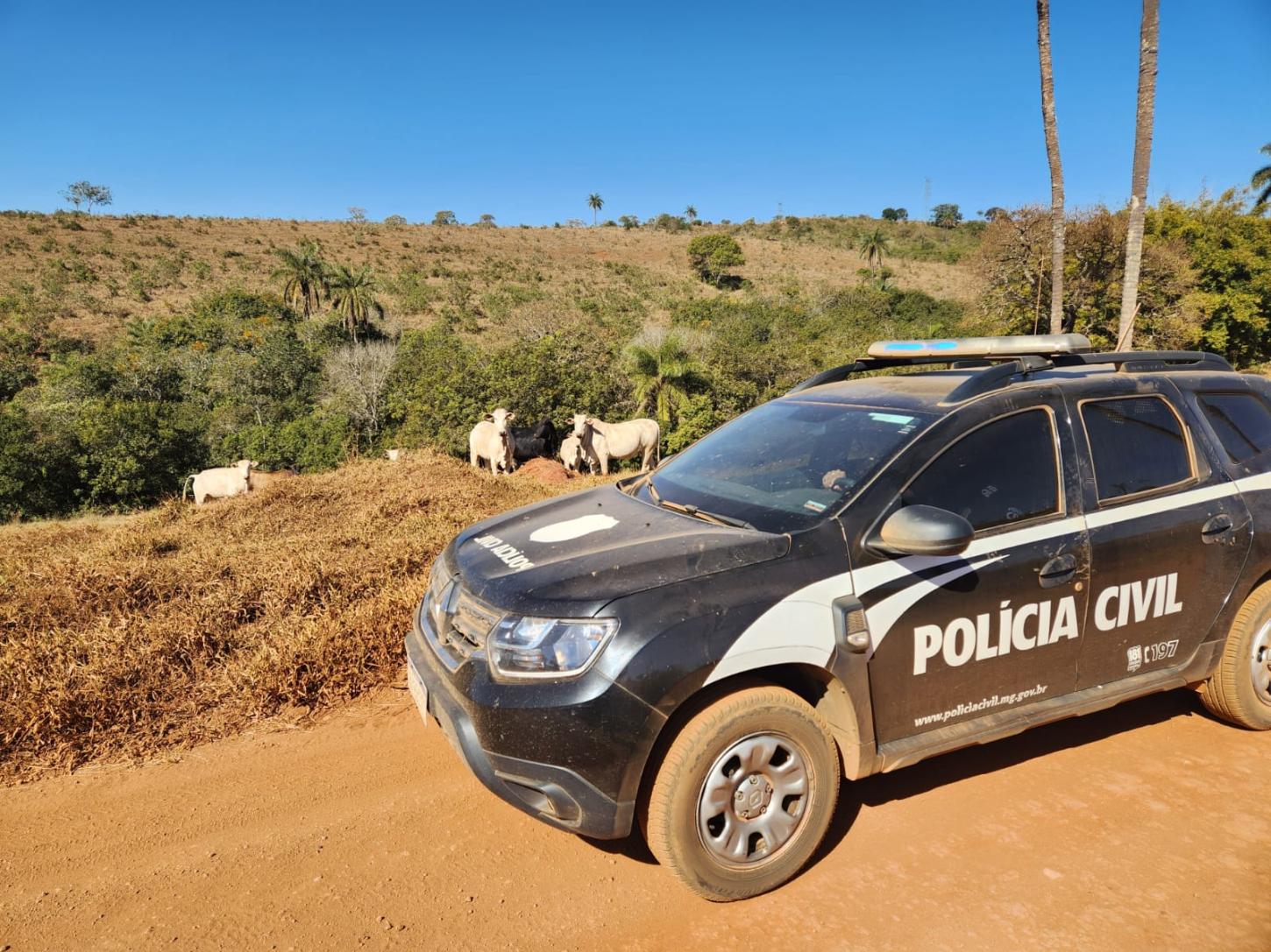 Polícia Civil prende homem durante operação contra furto de gado 