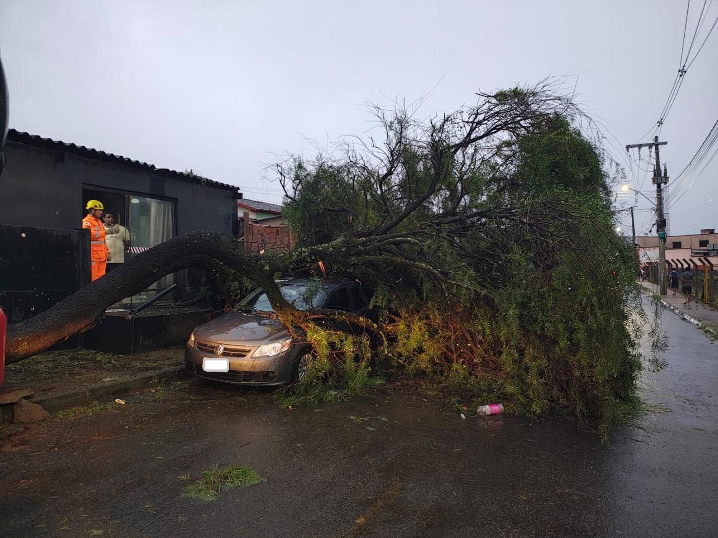 Árvore cai sobre carro no bairro Santa Mônica em Araxá
