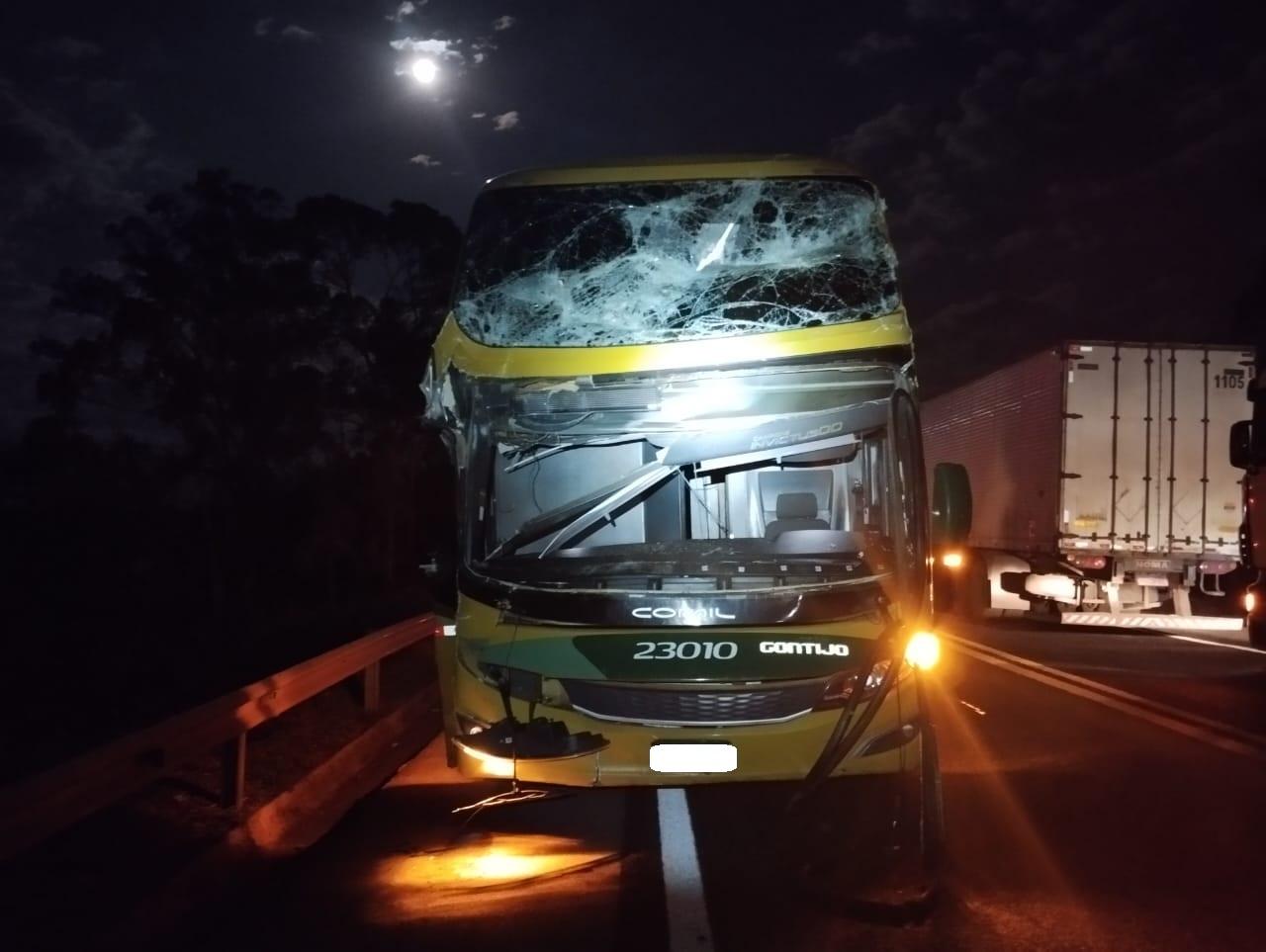 Árvore cai sobre ônibus e caminhão na BR-262