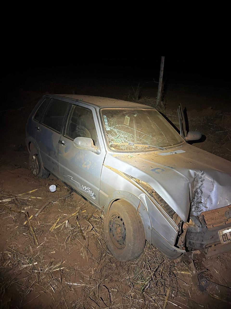 Idoso fica ferido após carro sair da pista e bater em árvore na MGC-352