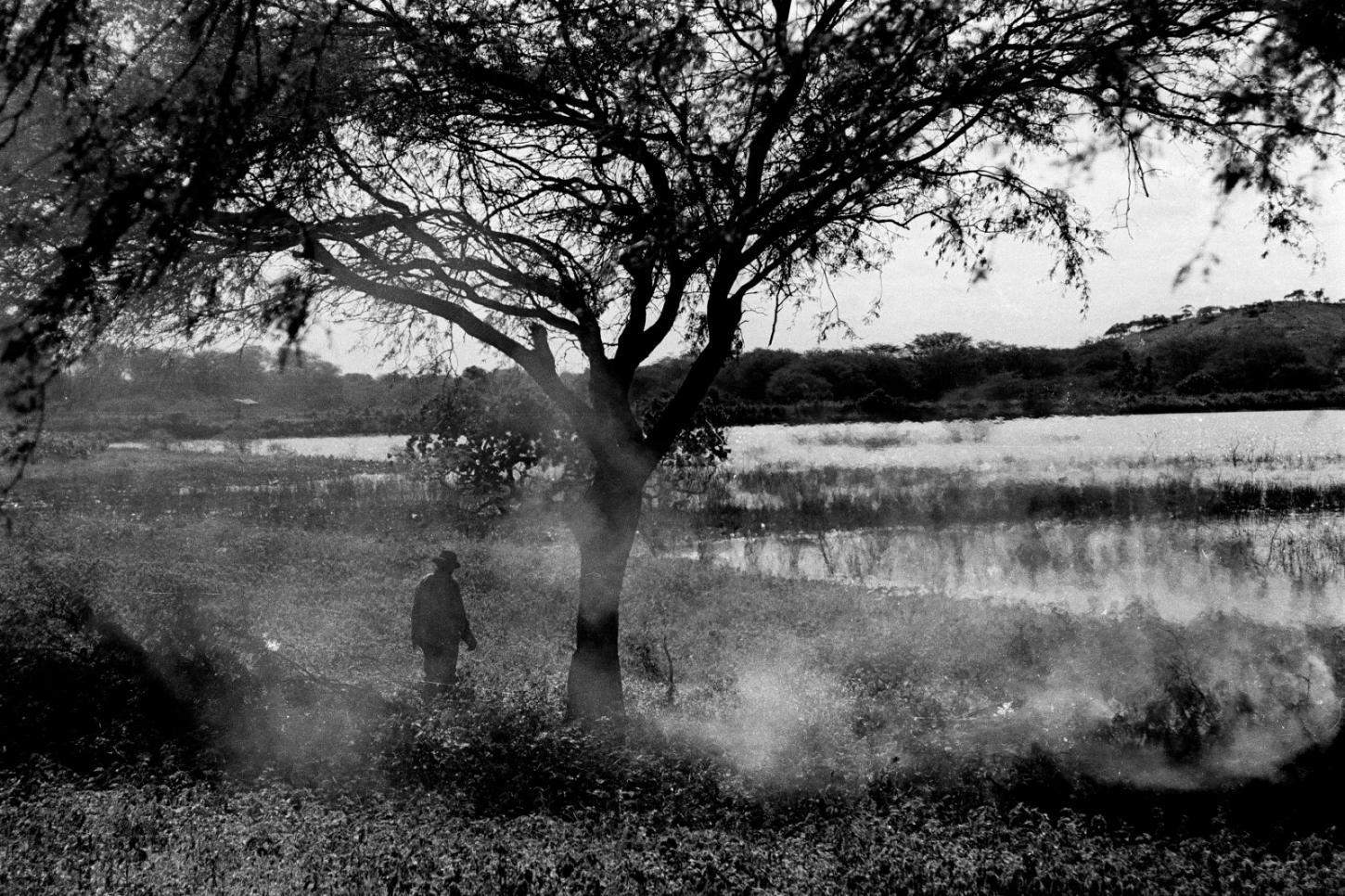Museu Dona Beja recebe a exposição “Eztetyka da Terra” a partir de 17 de novembro