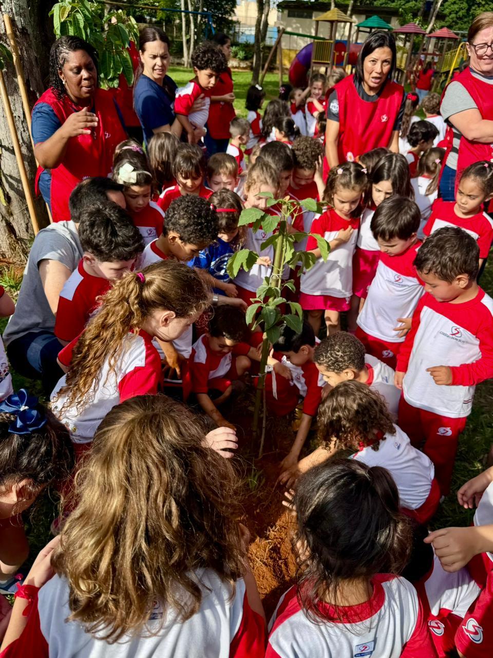Raízes do Futuro