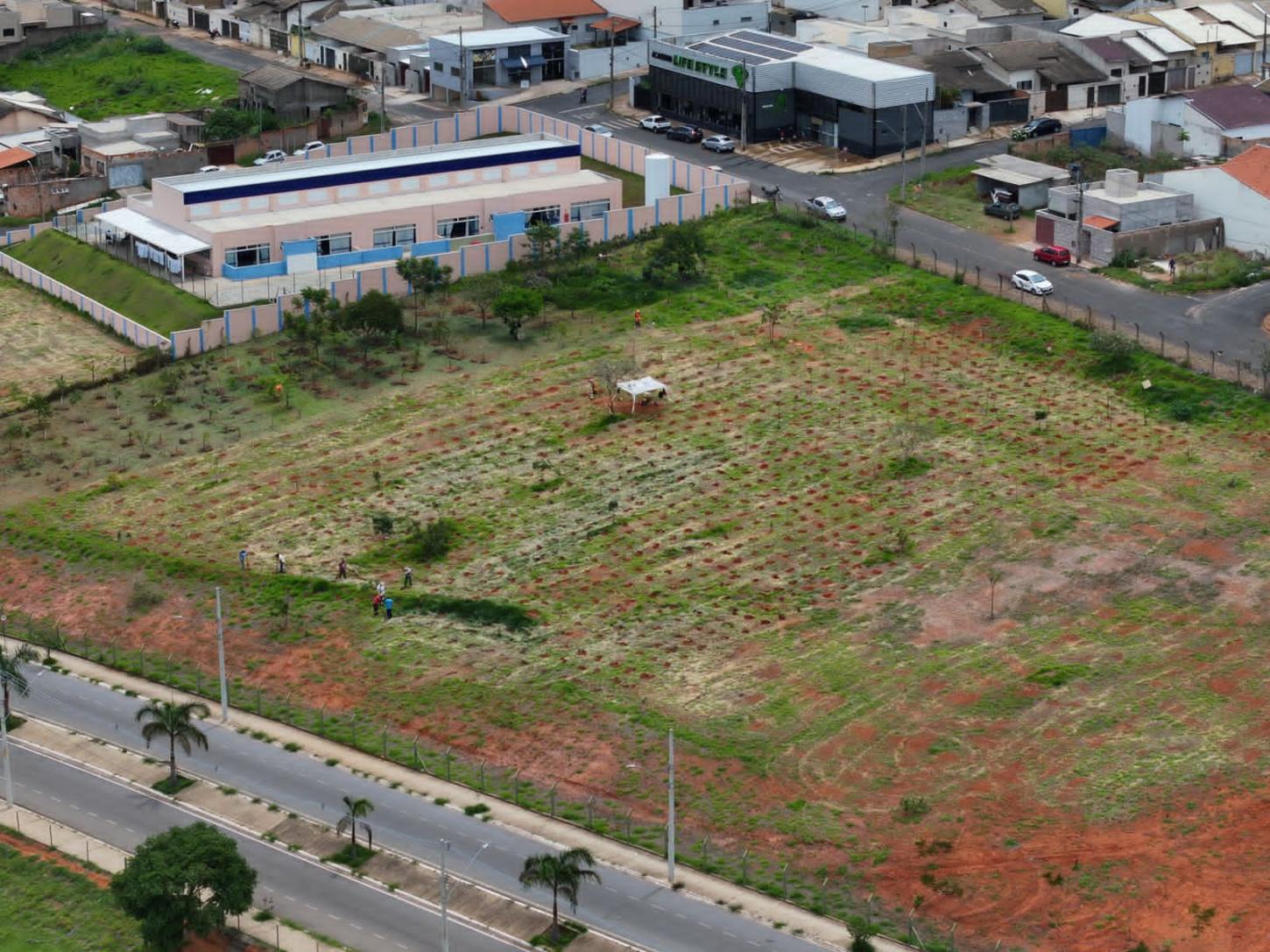 Araxá avança na agenda ambiental e transforma 2025 em um ano histórico para o meio ambiente