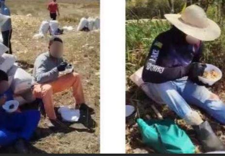 MPT assegura bloqueio de bens em caso de trabalho análogo à escravidão em fazenda de Ibiá (MG)