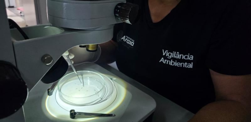 Primeiro LIRAa de 2026 aponta média infestação do Aedes aegypti e acende alerta para cuidados da população