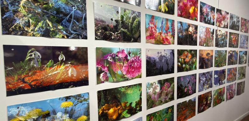 Última semana para visitar a exposição “Foto em Pauta – Eztetyka da Terra” no Museu Dona Beja