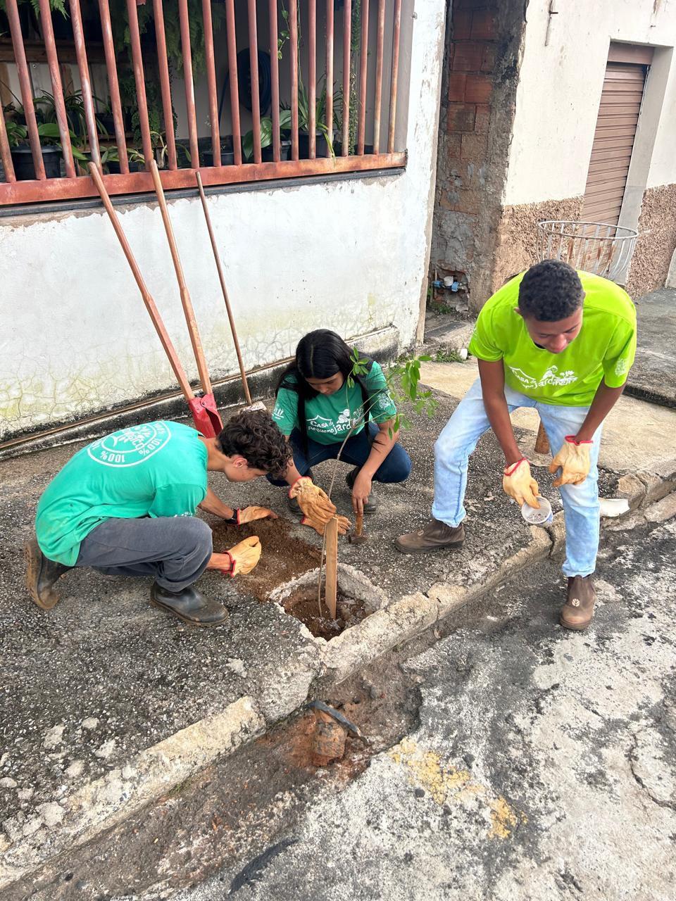 Uma Árvore na Minha Calçada: jovens do Casa do Pequeno Jardineiro realizam plantio de árvores em nova parceria com o IPDSA