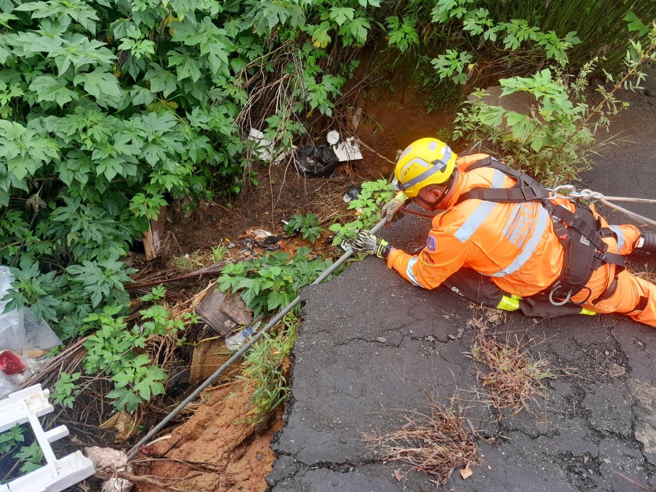 Bombeiros realizam resgate delicado de cão idoso em área de risco em Araxá