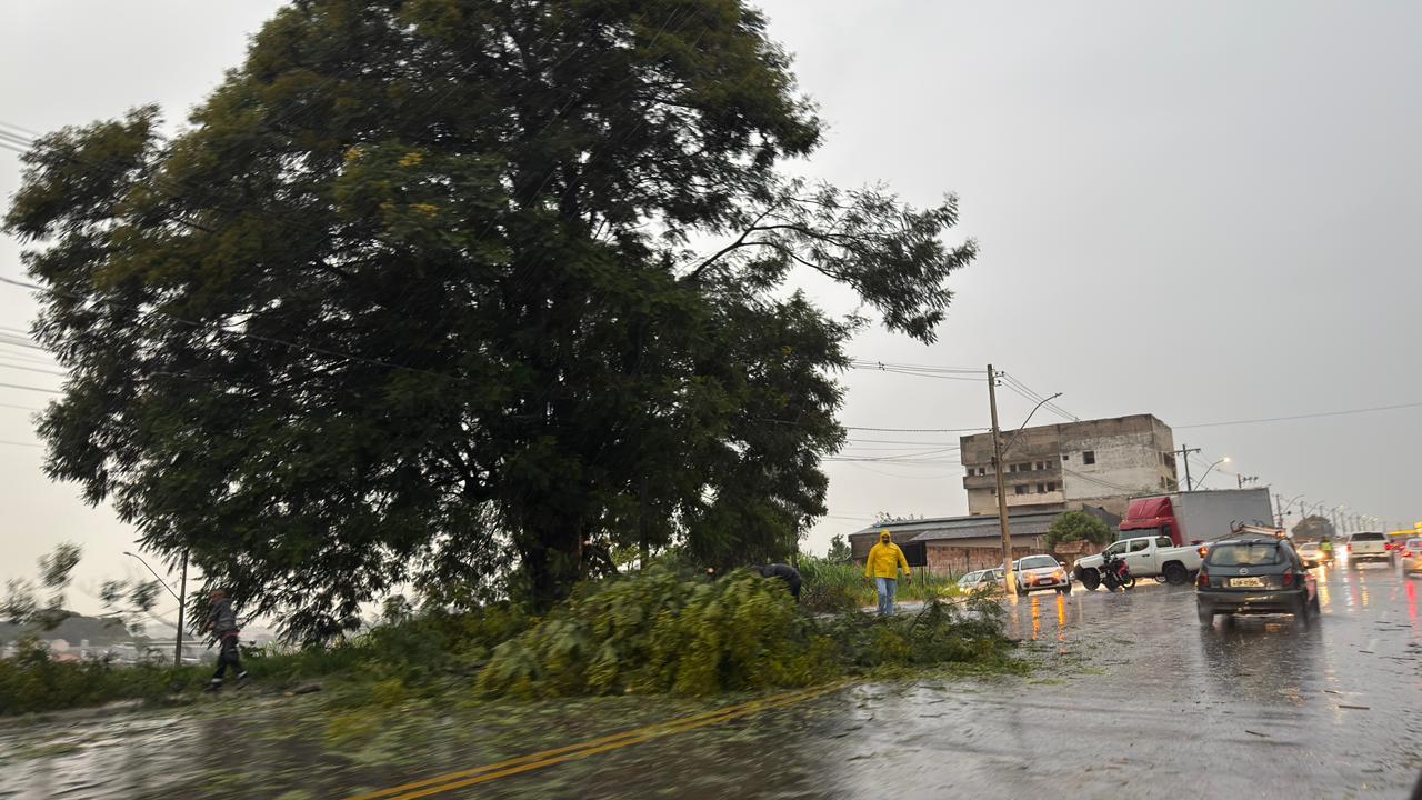 Secretaria de Serviços Urbanos disponibiliza equipes para atender quedas de árvores em Araxá
