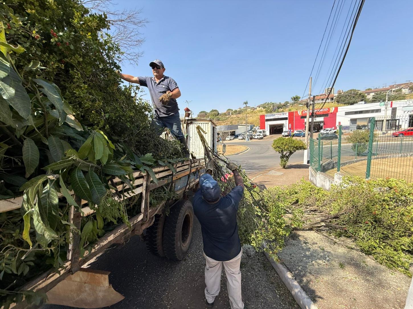 Lei pioneira de Araxá para combate à murta passa a ser adotada por outros municípios mineiros