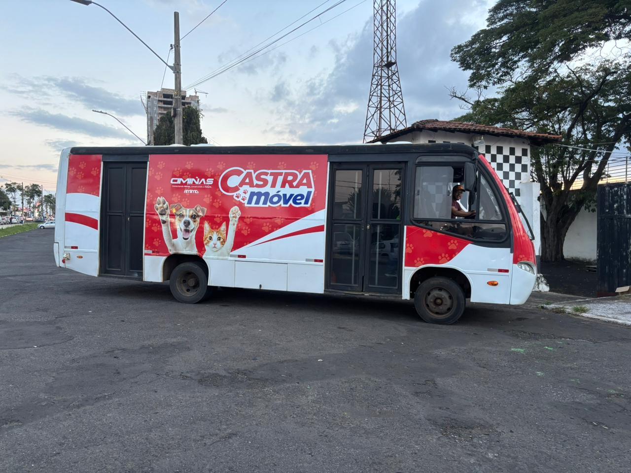 Ciminas promove mutirão com 400 castrações gratuitas em Araxá com apoio da Prefeitura