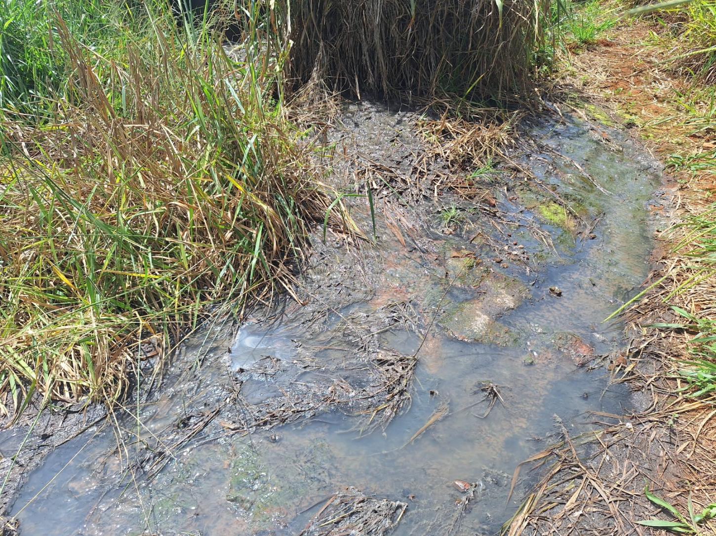 Polícia Civil indicia Copasa por crimes ambientais em Araxá