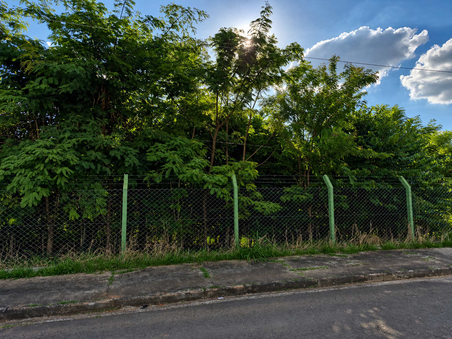 Projeto de requalificação de áreas verdes já soma mais de 5.600 mudas plantadas em Araxá