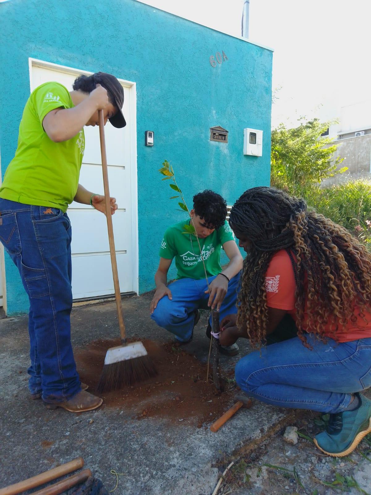 Projeto “Uma Árvore na Minha Calçada” incentiva moradores a deixarem Araxá mais verde e sustentável